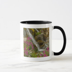 Mug États-Unis, Alaska, Glacier Bay National Park. Fe