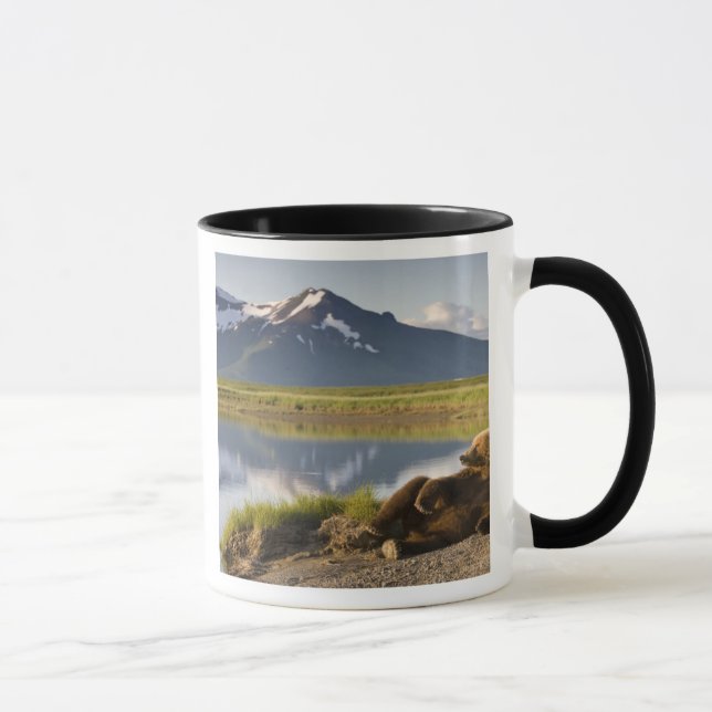 Mug États-Unis, Alaska, Parc national de Katmai, Ours  (Droite)