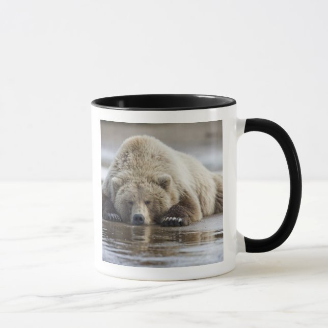 Mug États-Unis, Alaska, Parc national de Katmai, Ours  (Droite)
