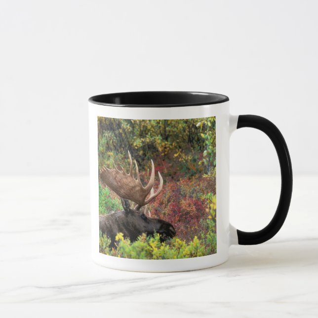Mug États-Unis, Alaska, Parc national Denali, Orignal (Droite)