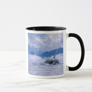 Mug États-Unis, Alaska, Tongass National Forest, Bossu