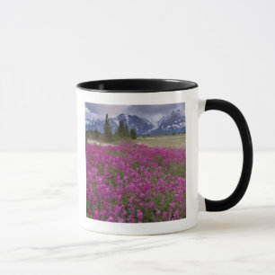 Mug États-Unis, Alaska, vallée de la rivière Alsek. Vu