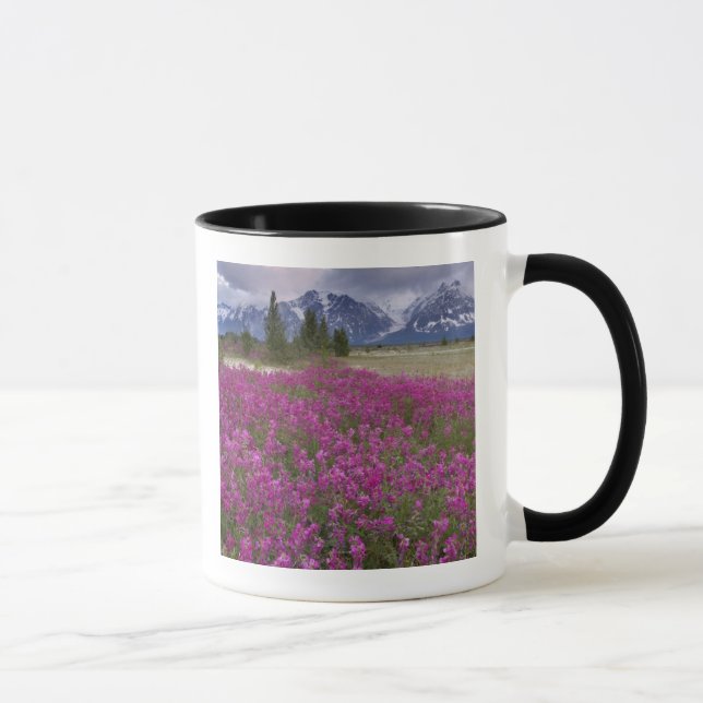 Mug États-Unis, Alaska, vallée de la rivière Alsek. Vu (Droite)