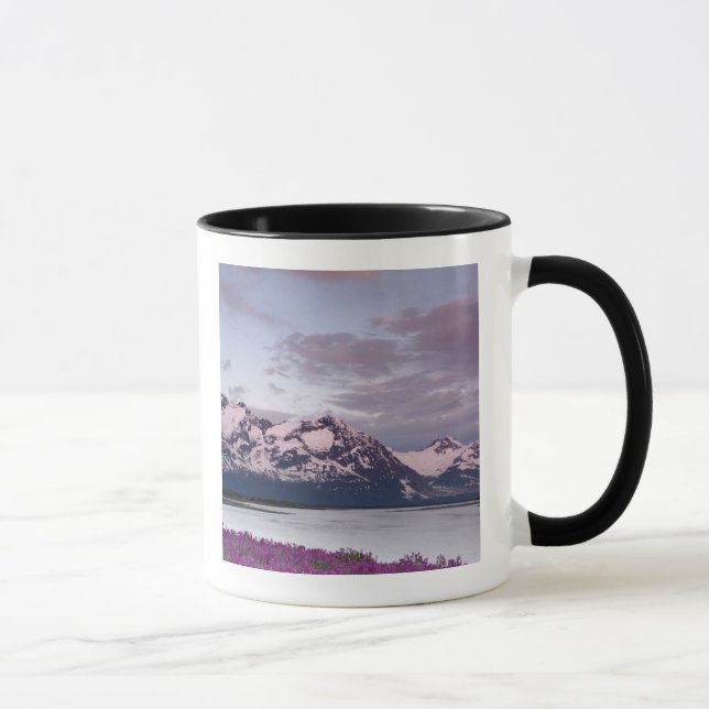 Mug États-Unis, Alaska, vallée de la rivière Alsek. Vu (Droite)