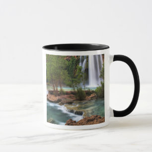 Mug États-Unis, Arizona, Havasu Canyon. Le paisible