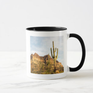 Mug États-Unis, Arizona, Tonto National Forest, Picke