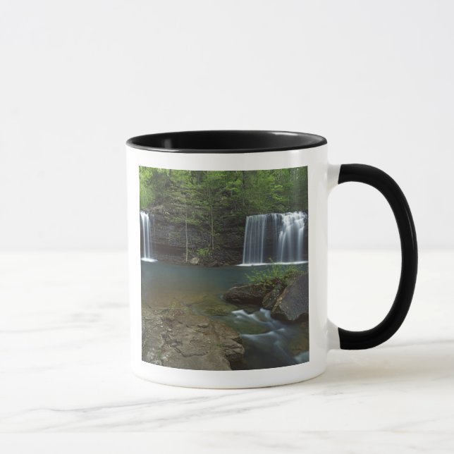 Mug États-Unis, Arkansas, Ozark-St Francis National (Droite)
