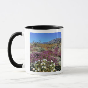 Mug États-Unis, Californie, Anza-Borrego DSP. Soirée d
