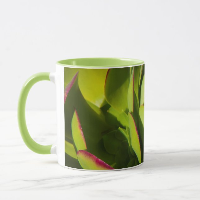 Mug États-Unis, Californie. Fermeture du Plante géant  (Gauche)