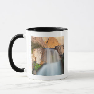 Mug États-Unis, Californie, Forêt nationale d'Inyo. Ca