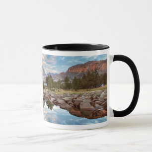 Mug États-Unis, Californie, Inyo National Forest 15