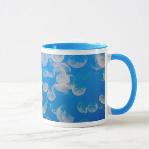 Mug États-Unis, Californie. Méduses dans la baie de Mo