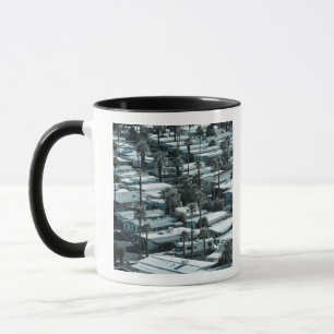 Mug États-Unis, Californie, Palm Springs. Parc de remo