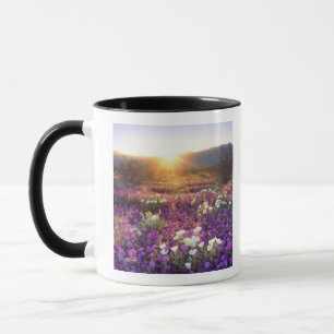 Mug États-Unis, Californie, Parc d'État du désert d'An