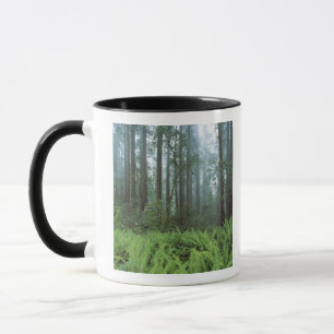 Mug États-Unis, Californie, Redwood NP. Fermes et