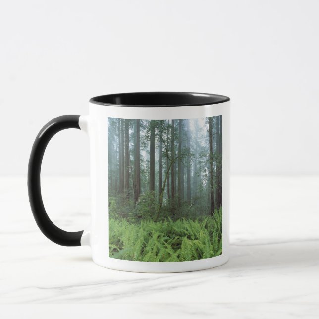 Mug États-Unis, Californie, Redwood NP. Fermes et (Gauche)