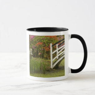 Mug États-Unis; Caroline du Sud; Charleston; 2