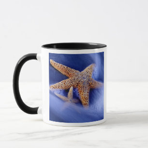 Mug États-Unis, Caroline du Sud, île de Hilton Head. D