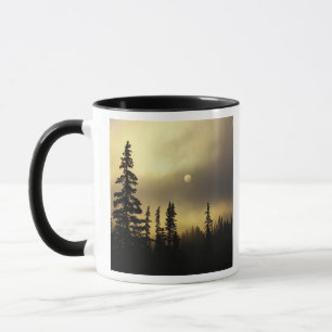 Mug États-Unis, Colorado, forêt nationale de San Isabe