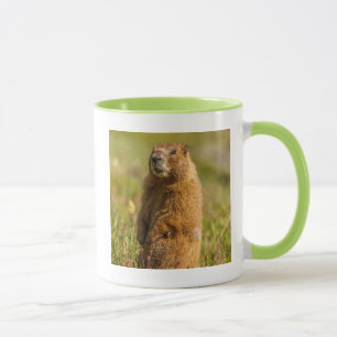 Mug États-Unis, Colorado, Montagnes San Juan