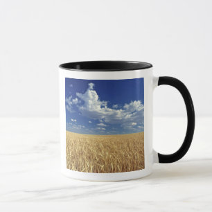 Mug États-Unis, État de Washington, Colfax. Blé mûr