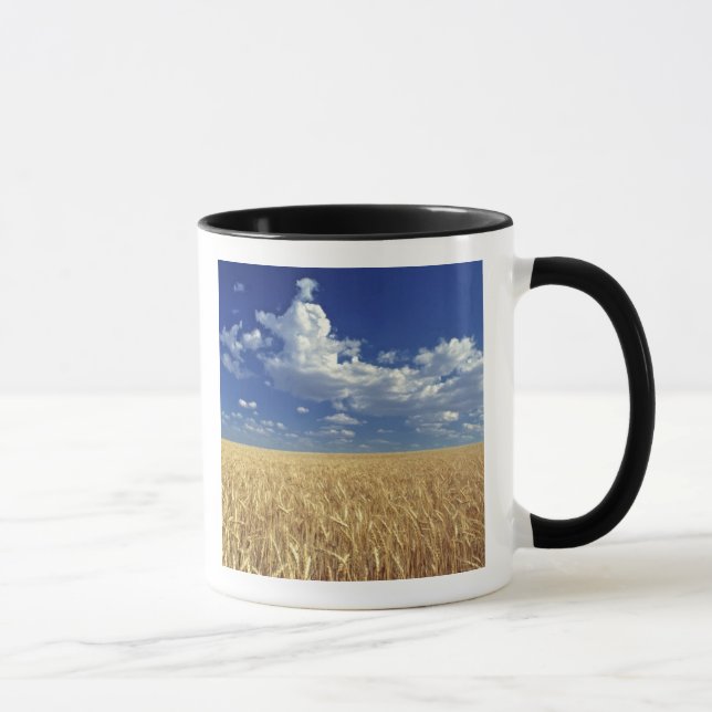 Mug États-Unis, État de Washington, Colfax. Blé mûr (Droite)