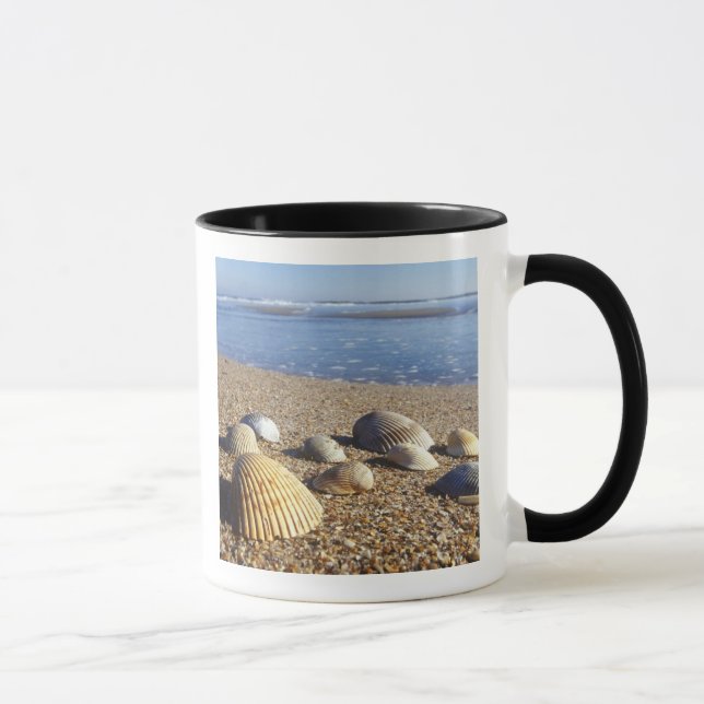 Mug États-Unis, Floride, coquillages côtiers (Droite)