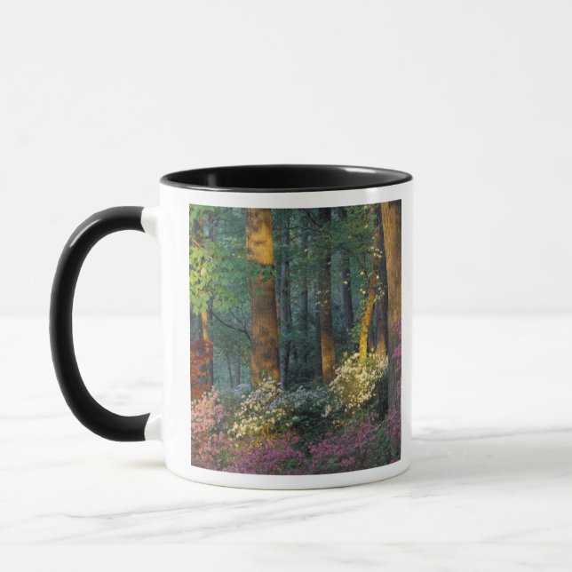 Mug États-Unis, Géorgie, Callaway Gardens, forêt d'Aza (Gauche)