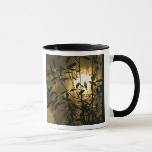 Mug États-Unis, Géorgie, Callaway Gardens, Lever du so