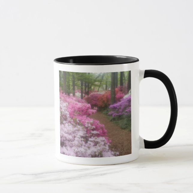 Mug États-Unis; Géorgie; Pine Mountain. Azalées à 2 (Droite)