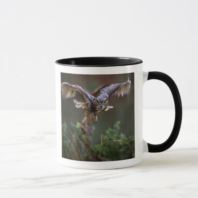 Mug États-Unis, Géorgie, Pine Mountain, Callaway Garde (Droite)