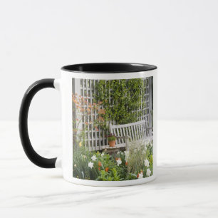 Mug États-Unis, Géorgie, Pine Mountain. Chaise dans