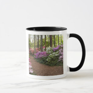 Mug États-Unis, Géorgie, Pine Mountain. Un chemin à tr