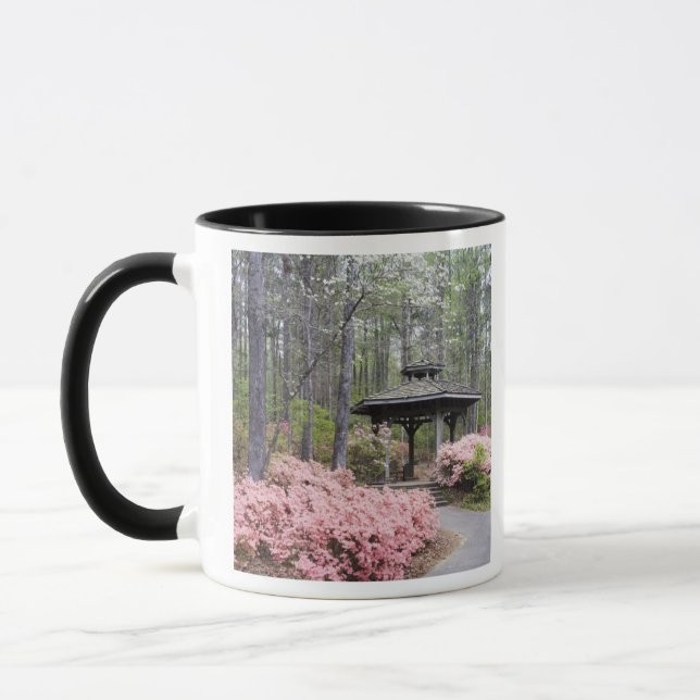 Mug États-Unis, Géorgie, Pine Mountain. Un gazebo parm (Gauche)