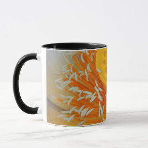 Mug États-Unis, Géorgie, Savannah, Gros plan d'un lotu