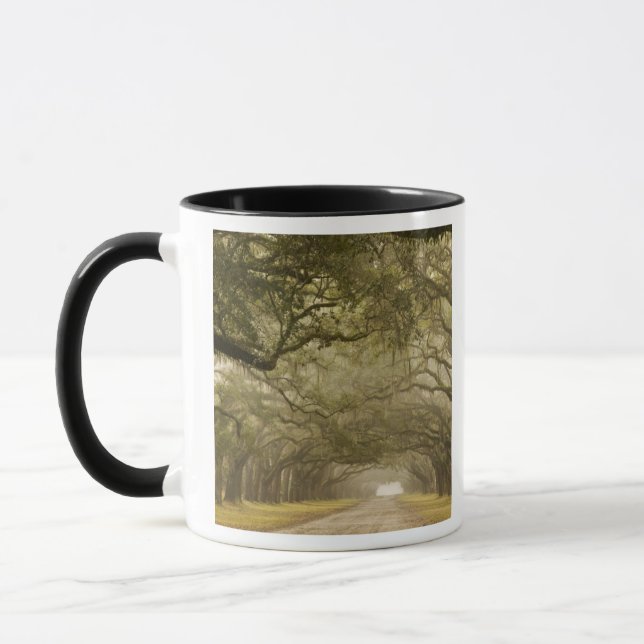 Mug États-Unis, Géorgie, Savannah, Une allée bordée de (Gauche)