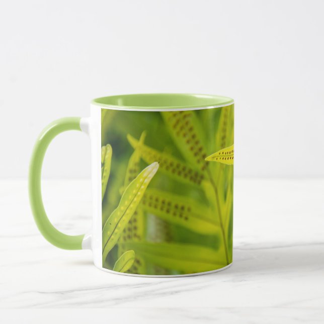 Mug États-Unis, Hawaï, Big Island. Ferme verte tropica (Gauche)