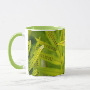 Mug États-Unis, Hawaï, Grande Île. Fougère verte tropi