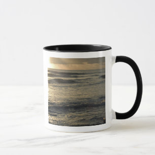 Mug États-Unis, Hawaï, Kauai, côte sud-ouest, près de