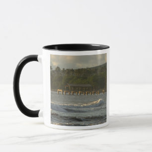 Mug États-Unis, Hawaï, Kauai, côte sud-ouest, près de