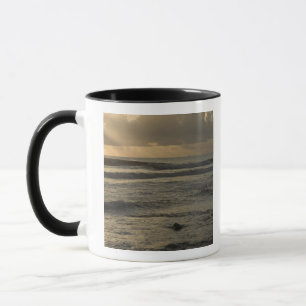 Mug États-Unis, Hawaï, Kauai, côte sud-ouest, près de