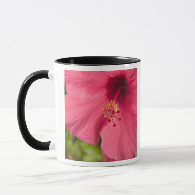 Mug États-Unis, Hawaï, Kauai, Hibiscus (Gauche)