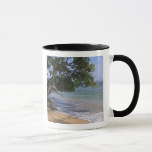 Mug États-Unis, Hawaï, Kauai, paysage de plage. RF)