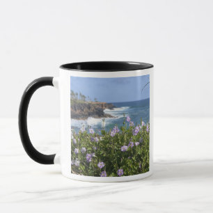 Mug États-Unis, Hawaï, Kauai, près de Kapaa, nord-o