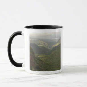 Mug États-Unis, Hawaï, Kauai, vue sur le canyon. (RF)