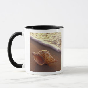 Mug États-Unis, Hawaï, Maui, Kihei, Lumière du soir su