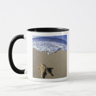 Mug États-Unis, Hawaï, Maui, Makena Beach, Étoile de m