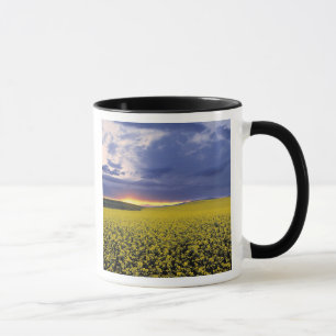 Mug États-Unis, Idaho, Swan Valley. Un coucher de sole