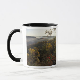 Mug États-Unis, Kentucky. Forêt nationale Daniel Boone