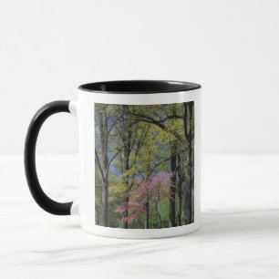 Mug États-Unis, Kentucky, Louisville. Cercis du Canada